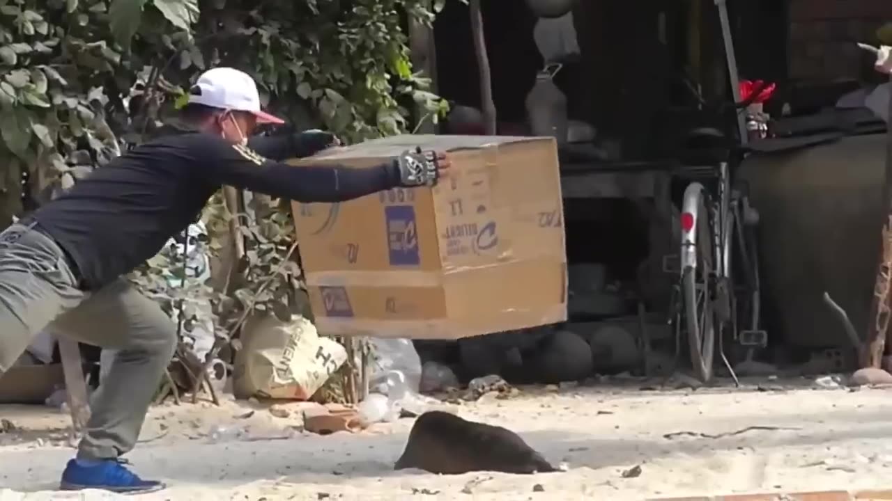 Comedy videos 😂😂