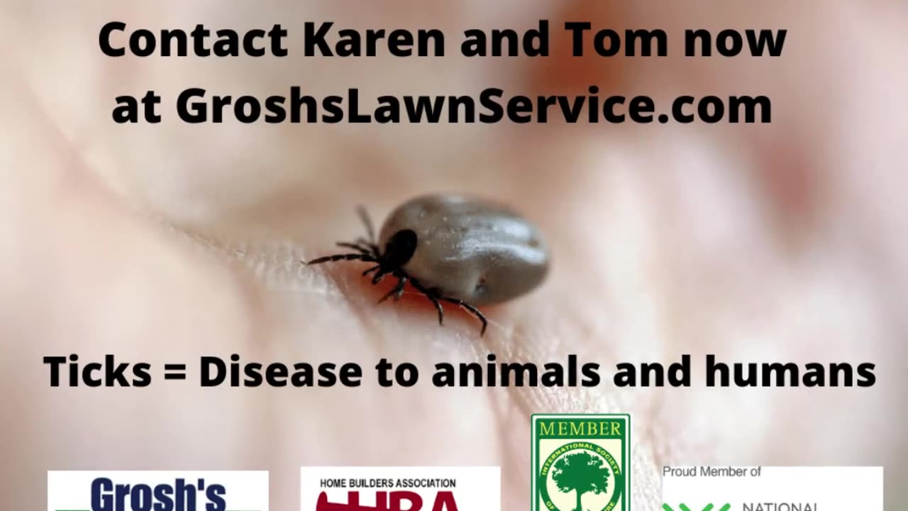 Ticks Hagerstown Maryland Lawn Care Treatments