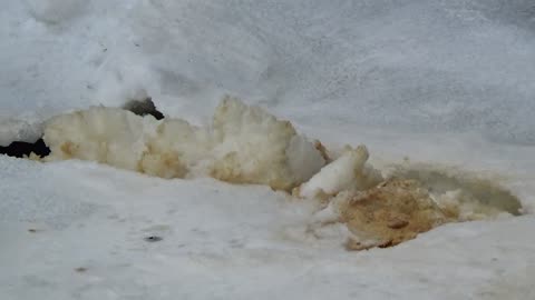 River Foam