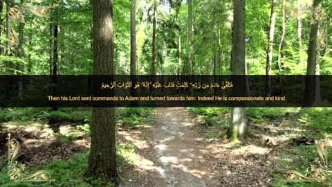 Quranic verses, مقتطفات قرانية, Beautiful Quran, Viral, تلاوة جميلة, القران الكريم, عبد الباسط ,