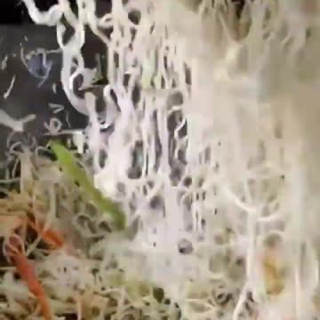 Indian street food 😱😱😱😱