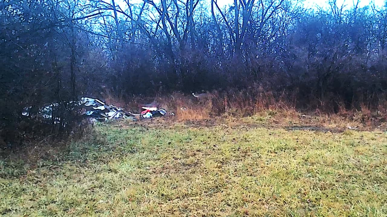 Nature 01, Rudolph And The Garbage Dump, Harvey IL 20221209_144324A 4K24p8s 7C