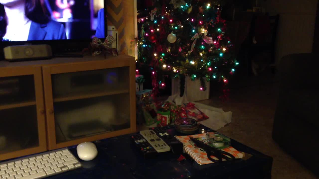 Dog flips over Christmas gifts
