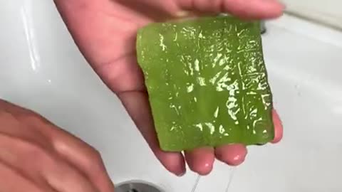 KPOP beauty secret. Homemade Aloe vera cubes