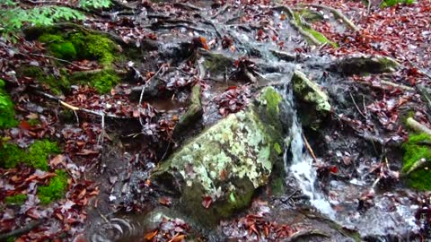 Runoff