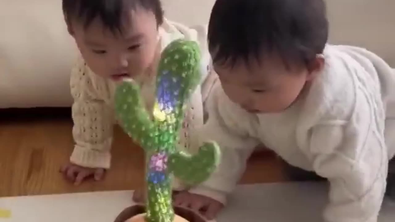 Cute babies playing with Dancing cactus