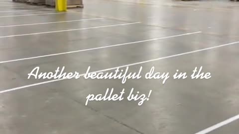 Another beautiful day in the pallet biz!