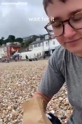 Bird is stealing food from people’s mouth