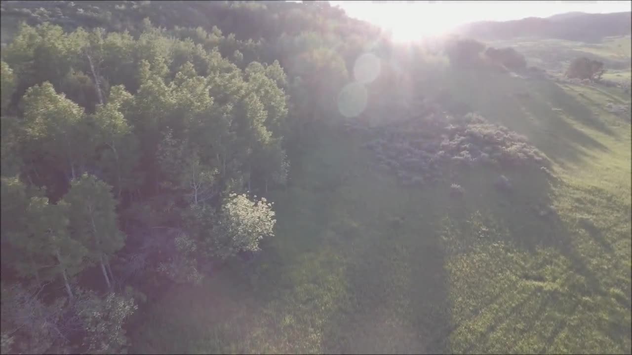 DRONE CAPTURES A WIERD WILD ANIMAL.