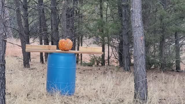 Pumpkin's Last Stand