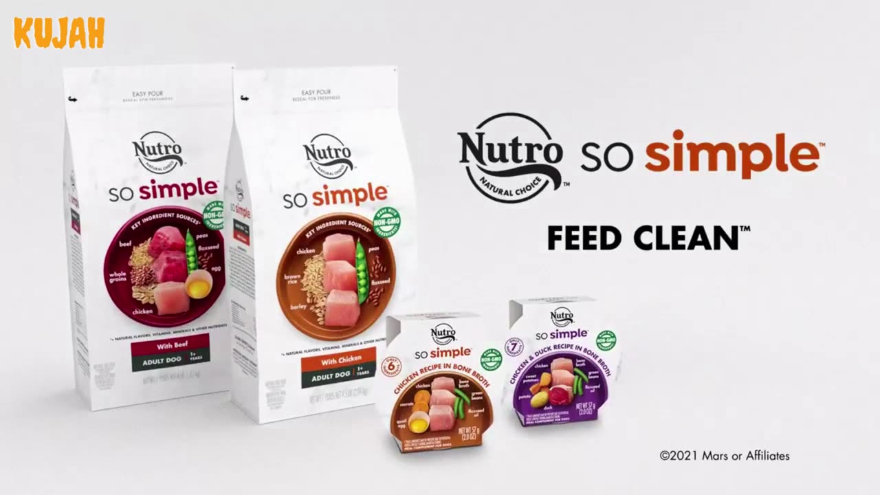 SO Simple with Beef Adult Dog Food, 11 lb