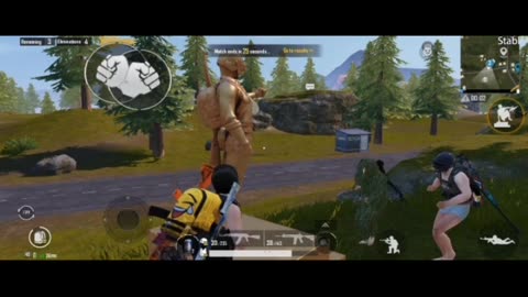 Pubg Game Winning Moment