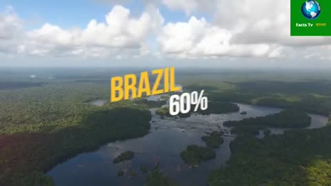 Mysterious_Amazon_Jungle_