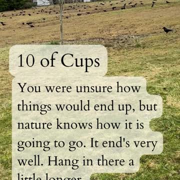 10 of Cups to Fool 2022-12-04