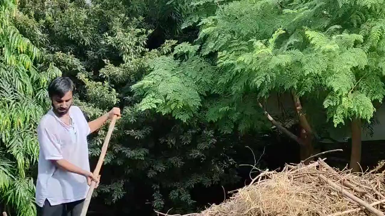 Timelapse of humus making