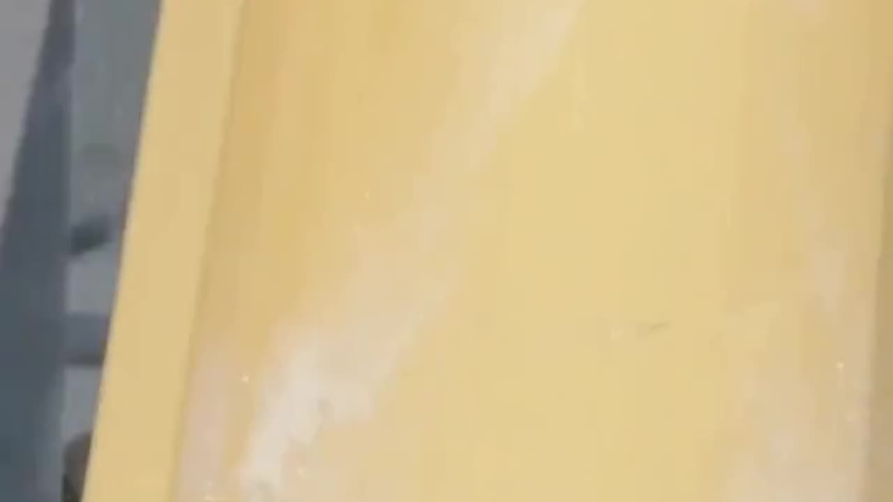 Funny shorts