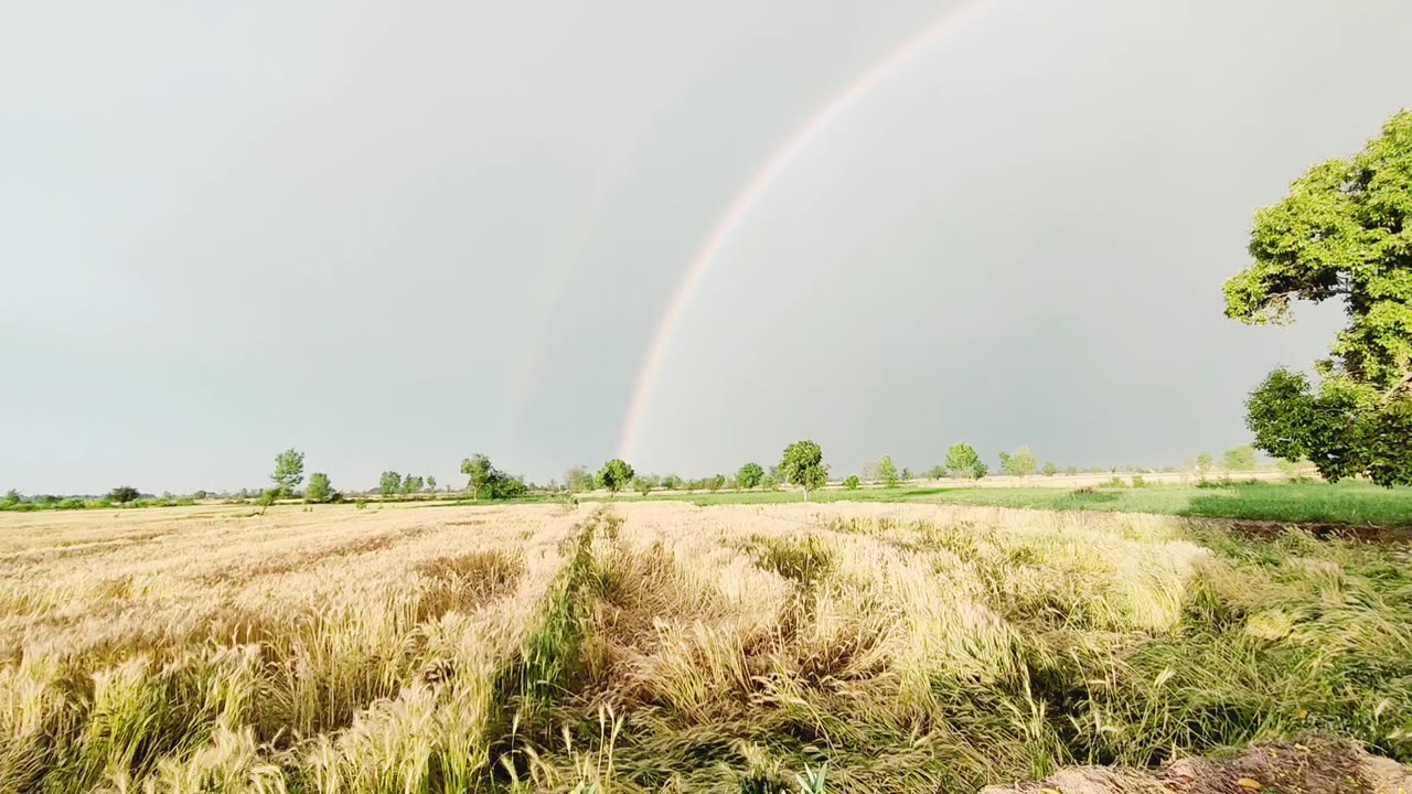 Beautiful Rainbow View In Village.