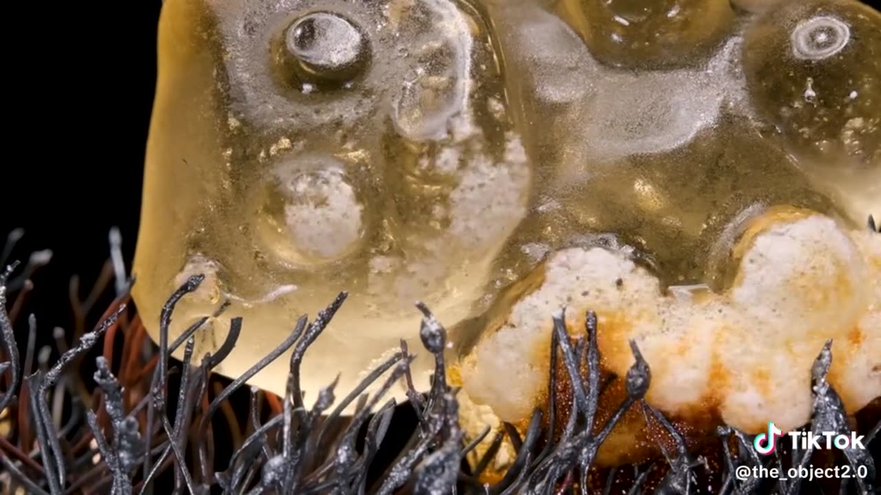 Destruction of Things #asmr #satisfying #amazing #macro #closeup #science