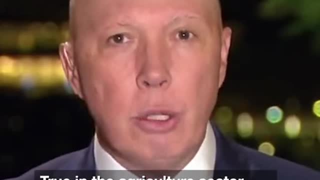 Peter Dutton is proposing pensioners go back to work to ease Australia's job crisis