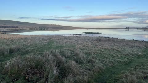 Harperrig Reservoir - West Cairn Plantation - Colzium - Plea Knowe - Black Hill - Fauch Hill loop