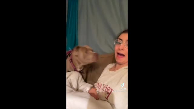 Dog Reacts To Human Bark