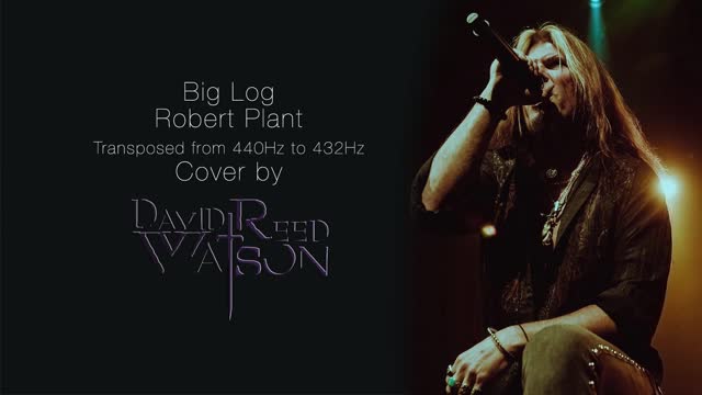 Big Log - Robert Plant Cover