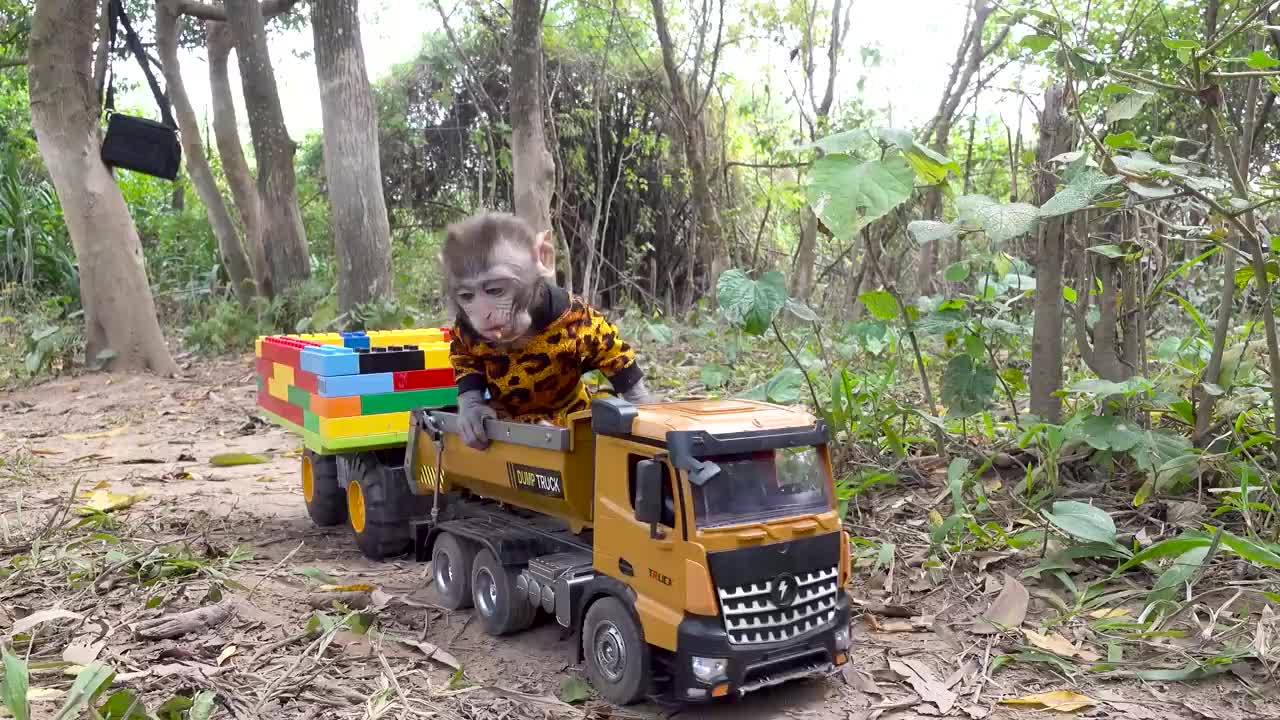 Dog in trouble. Little monkey rescues his furry friend from the clutches of a dinosaur