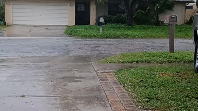 Hurricane Ian in Tampa, Florida