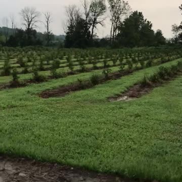 Highland Hill Farm in fountainville pa allows hunters for deer