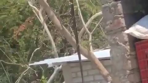 Mexico: Gun battle between Chivos Templarios and Viagras in Michoacán.