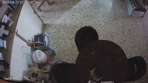 hallmid midnight 20220421