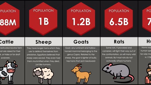 Probability Comparision Animal Population