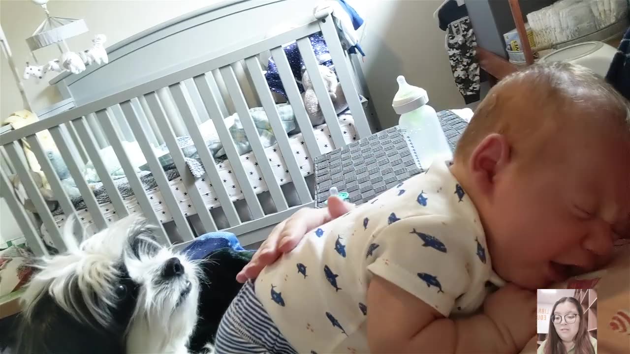 The Planet's Cutest Chubby Babies - Funny Videos || Just Laugh
