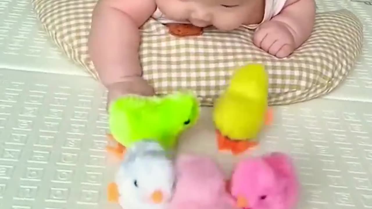 cute baby play with chicks