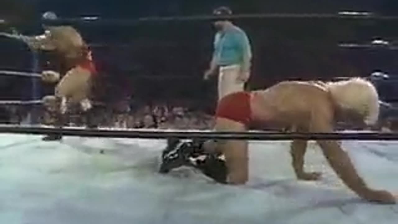 NWA JCP - The Great American Bash - Jul 16 1985 - Memorial Stadium, Charlotte, NC **NOT ON PEACOCK**