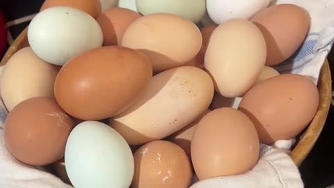 Eggs, what is really going on with the eggs.