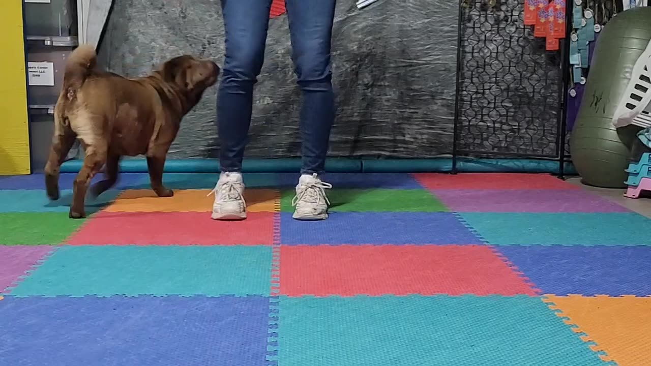 Aurora Valentine Title Challenge