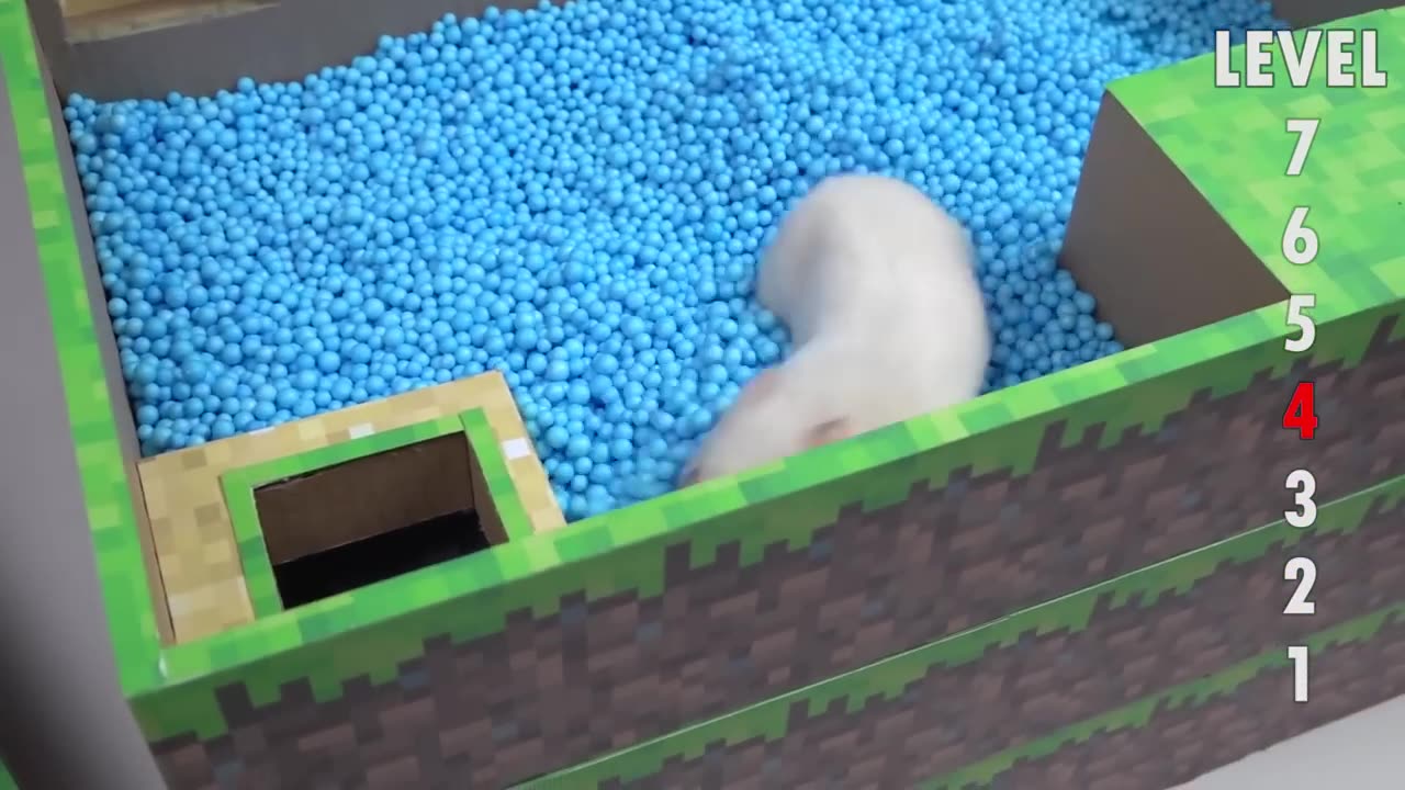 Hamster Minecraft Maze