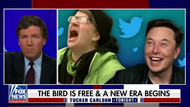 Tucker Carlson celebrates Elon Musk’s takeover of Twitter.