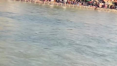 Indian rever ganga ❤️