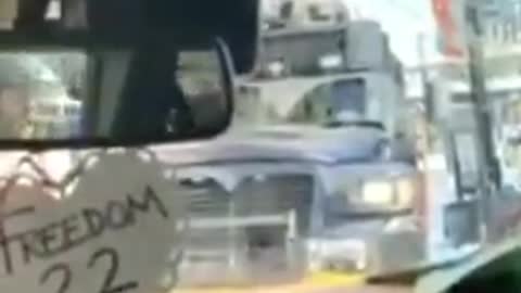 CasTrudeau's Pigs Breaking Windows To Apprehend Peaceful Protestors🤬🤬🤬