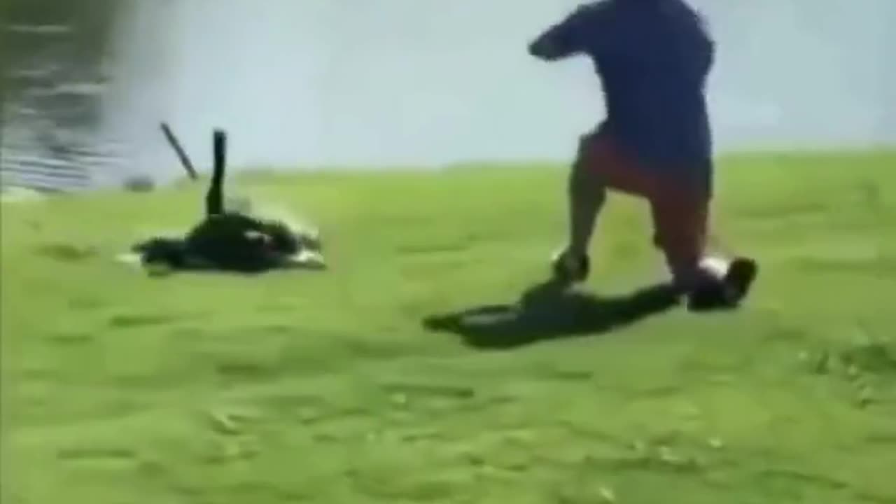 Bird Attacks Golfer