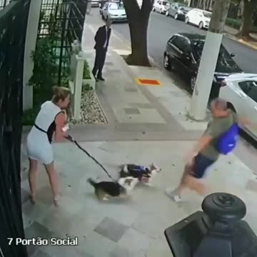 Irmã de ministro do STF é agredida em Perdizes: polícia localiza agressor