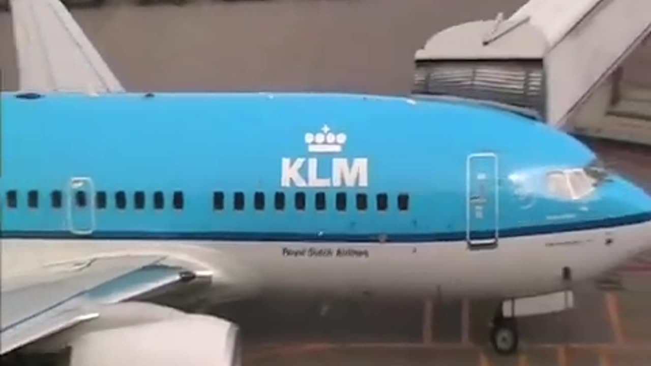 Schiphol plane-spotting