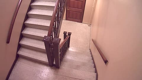 0455USCH03H405Stairwell_2021-01-06_04h20min02s017ms.mp4