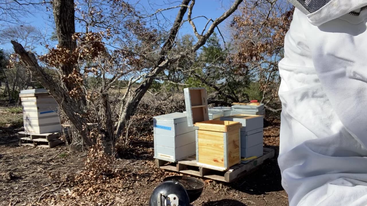 Moving to new apiary, brood boxes first.