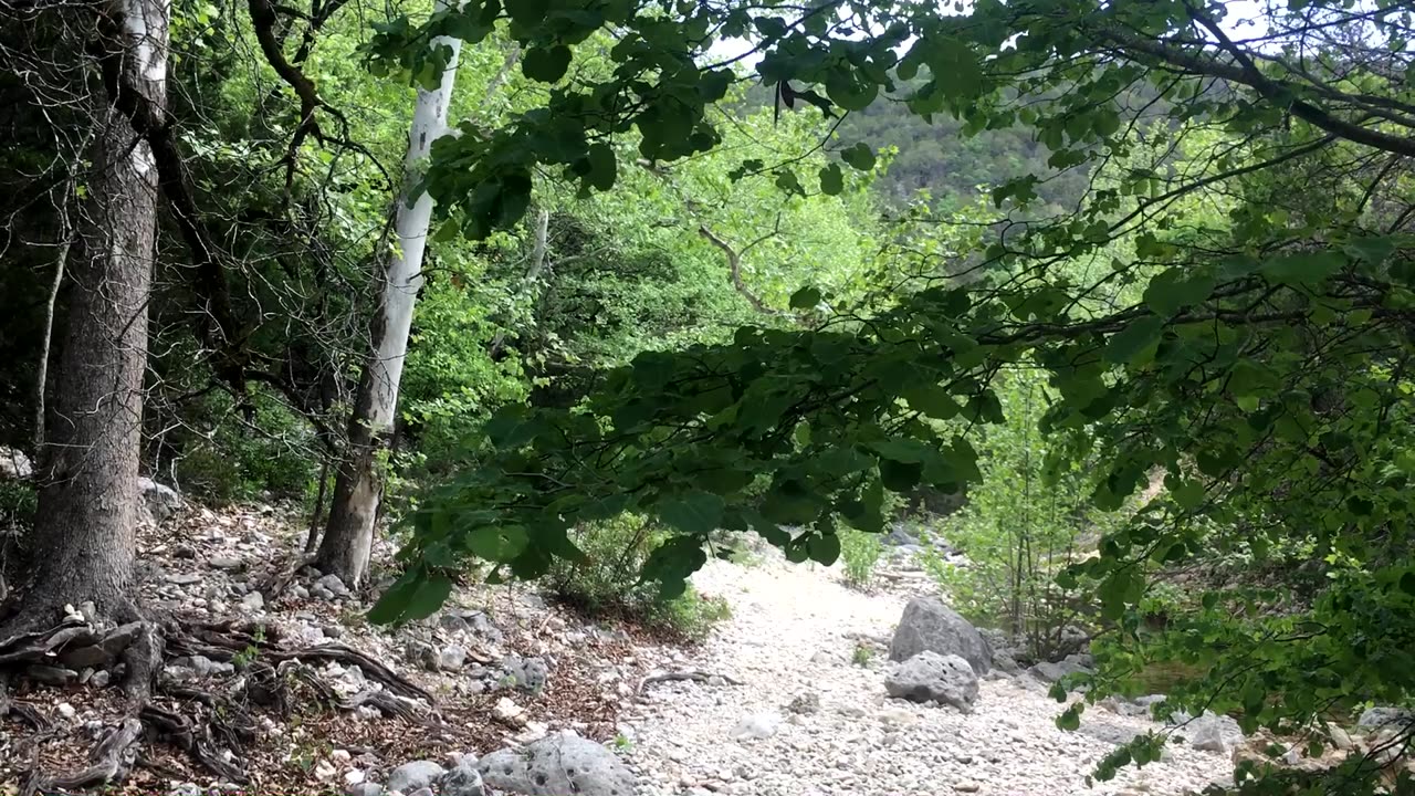 Lost Maples State Natural Area