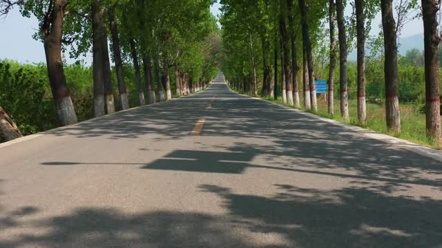 They followed a path through the trees