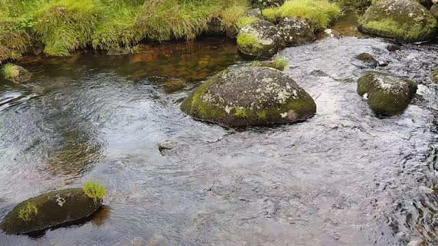 Sounds of river