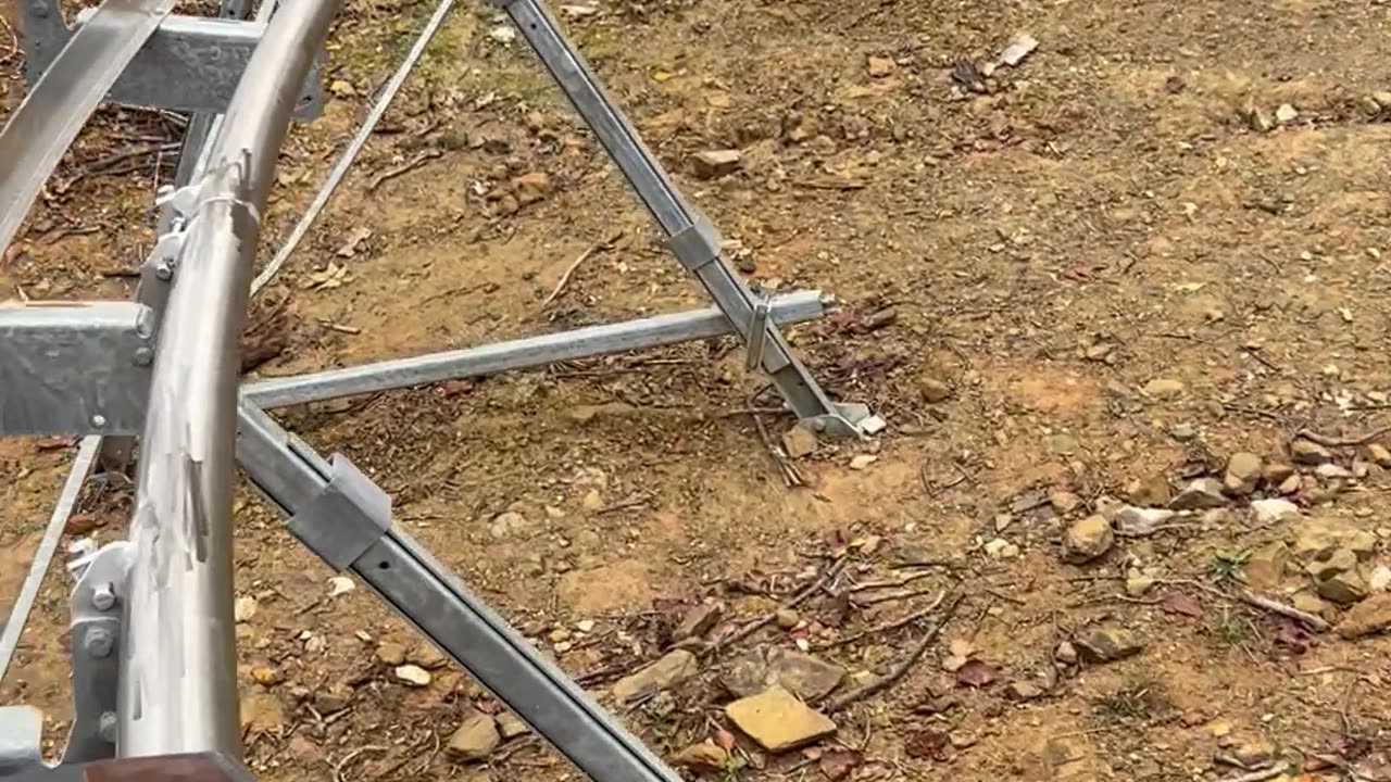 Bear Encounter on a Roller Coaster